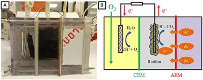 The Potential of Bioelectrochemical Sensor for Monitoring of Acetate During Anaerobic Digestion: Focusing on Novel Reactor Design